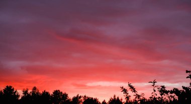 Güzel kırmızı gün batımı. Kırmızı renklerde bulutlu arkaplan.