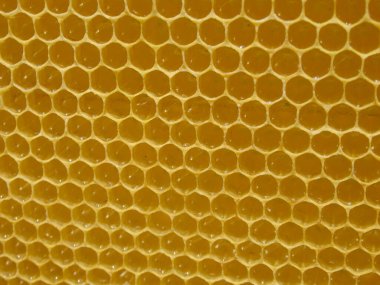 Ballı bal petekleri. Doğal arka plan. Nektar Apiculture