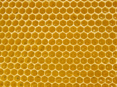 Taze Bal Tarakta. Balmumu tarağı yapısı soyut desen. Sarı Bal hücrelerinin doku arkaplanı.