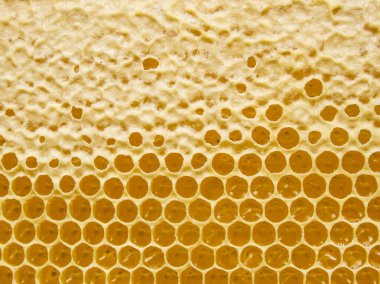 Taze Bal Tarakta. Balmumu tarağı yapısı soyut desen. Sarı Bal hücrelerinin doku arkaplanı.
