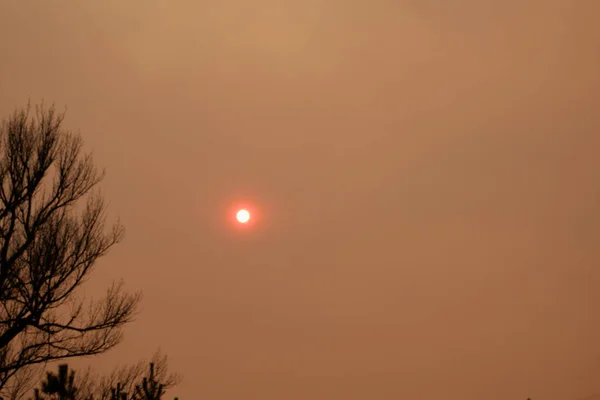 2020年4月切尔诺贝利空气污染燃烧森林 — 图库照片