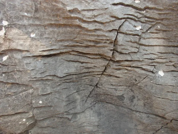 Tło Bliska Tekstury Skały Ściana Naturalnego Kamienia Szarego Brązowego — Zdjęcie stockowe