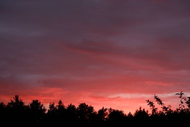 Güzel kırmızı gün batımı. Kırmızı renklerde bulutlu arkaplan.