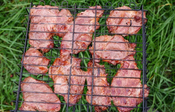 Pyszne Grillowane Mięso Wieprzowe Grillu Grill Mięsem Wieprzowym Kebaby Grillu — Zdjęcie stockowe