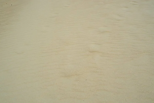 Summer Sand Beach Background — Stock Photo, Image