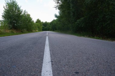 Asfalt gri yol yeşillikler arasında düşük plan