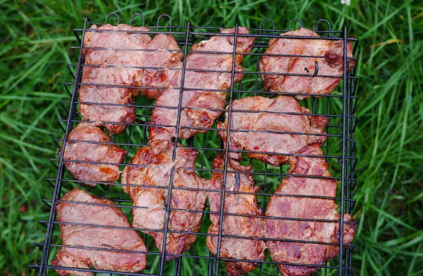 Deliciosa Carne Cerdo Parrilla Barbacoa Barbacoa Con Carne Cerdo Kebabs — Foto de Stock
