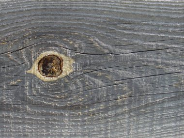 Yıpranmış Ahşap Doku Arkaplanı, Yatay Kapanış