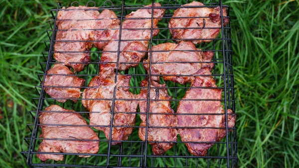 Deliciosa Carne Cerdo Parrilla Barbacoa Barbacoa Con Carne Cerdo Kebabs —  Fotos de Stock