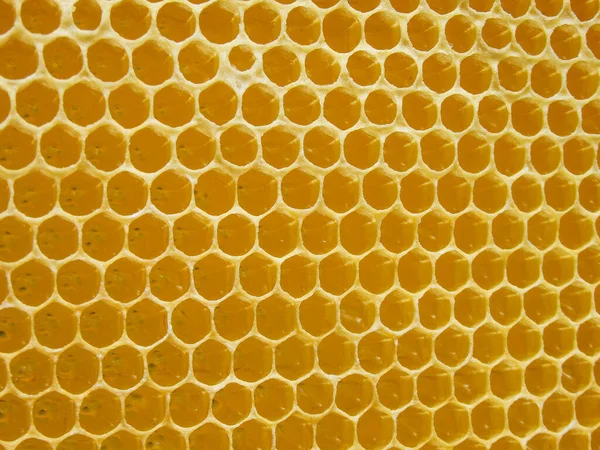 Honeycomb Geometric Closeup Yellow Honey Cells Texture Background Concept Beekeeping — Stock Photo, Image
