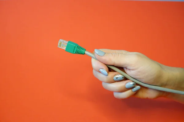 Green RJ45 network connector on a red background in well-groomed female hands