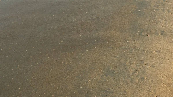 Summer Sand Beach Background — Stock Photo, Image