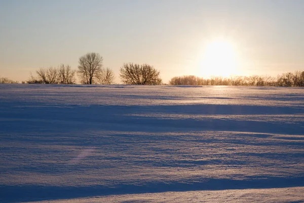 Winter sunset. Landscape, snow-covered field in the rays of sunset with frozen trees on the horizon in backlight.