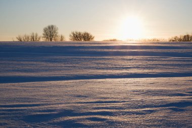 Kış batımı. Manzara, gün batımında karla kaplı tarla ve ufukta donmuş ağaçlar..