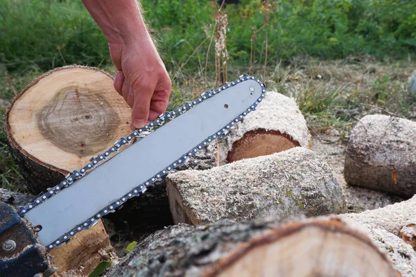 Checking and adjusting the chain tension of the chain saw. A worker checks the tension of the saw chain against a background of sawn logs.