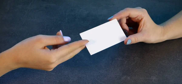 Business woman exchanging business cards. Close-up view of the hands. Gray stone background.