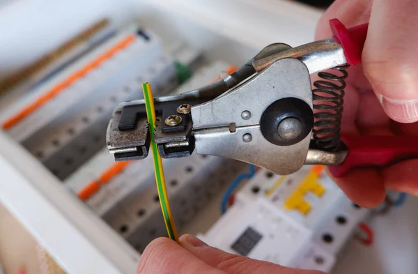 Assembling the electrical panel. An engineer removes insulation from a wire with a stripper against the background of an electrical panel.