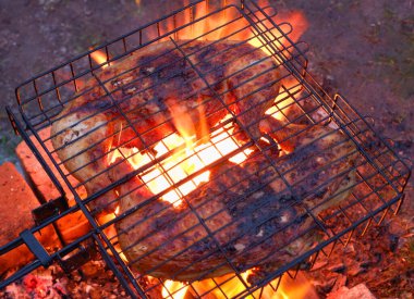 Kömürde tavuk eti pişirmek. Izgara pişirilirken tel askıda kızarmış tavuk eti. Gecenin ilerleyen saatlerinde yanan bir ateşin ve dumanın ışığı..