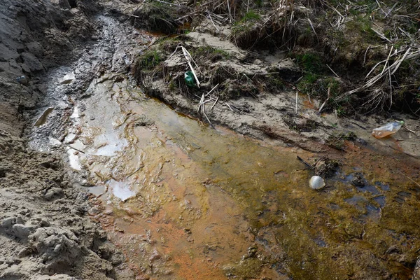 Dirty stream with yellow-green algae. An ecological problem. Contamination of groundwater by waste.