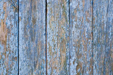 Doğal ahşap arka plan. Mavi boyayla boyanmış eski püskü bir tahta dokusu..