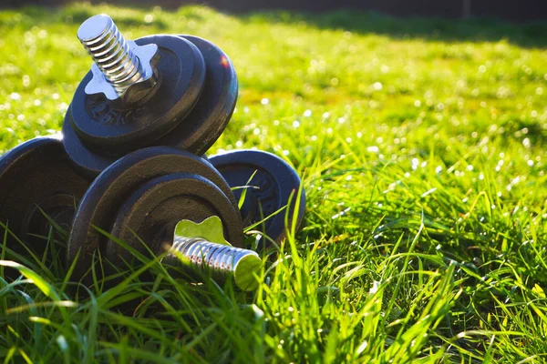 Outdoor sports. Dumbbells on green, lush grass in the backlight of the setting sun.