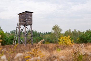 Av kulesi olan sonbahar manzarası. Sonbahar ormanının kıyısındaki ahşap gözlem kulesi..