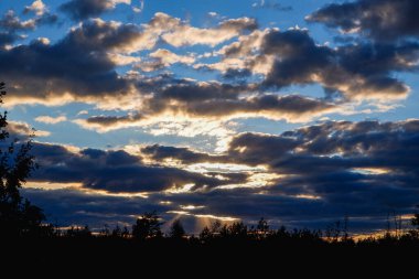 Ormanın arka planında dramatik bir günbatımı. Güneşin son ışınları ağır gök gürültülü bulutları delip geçer..