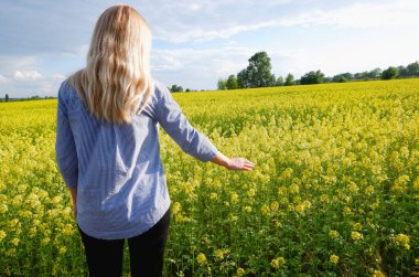 Kızın arka plan görüntüsü, çiçek açan bir ırz düşmanı tarlasının arka plan görüntüsü. Çiçek açmış kanola tohumu tarlasında mutlu genç bir kadın.