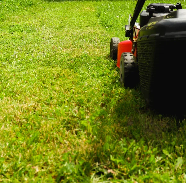 Lawn grass mowing. A man in a plaid shirt and blue jeans mows the grass with a lawn mower. Close up view.