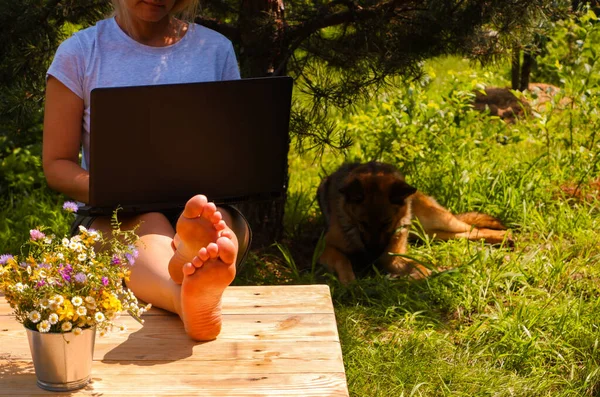 Vzdálená Práce Žena Pracuje Laptopem Zelené Zahradě Borovice Pes Pozadí — Stock fotografie