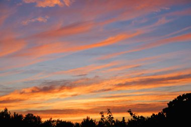 Akşam gökyüzünün fotoğrafı. Koyu kırmızı bulutlar mavi gökyüzüne karşı, gün batımında fırtına öncesi..