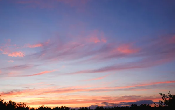 Пейзаж Фото Вечернего Неба Багровые Желтые Облака Против Голубого Неба — стоковое фото
