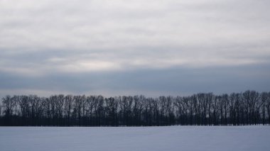 Kış manzarası. Karlı tarlalar, ufukta ağaçlar. Güneş ışığı, yoğun kış bulutlarında boğuşuyor..