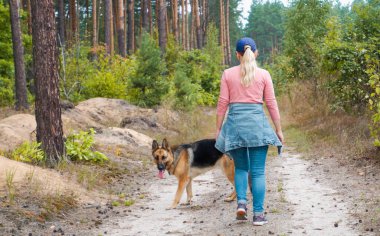 Alman çoban köpeği insan koruması için eğitildi. Köpek ormanda yürürken kıza göz kulak olur. Arka plan.