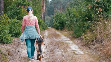 Alman çoban köpeği insan koruması için eğitildi. Köpek ormanda yürürken kıza göz kulak olur. Arka plan.