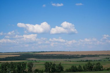 Manzara. Ufuktaki parlak yeşil tarla ağaçları ve bulutlu mavi gökyüzü. Tarım arazisi, bulutlu mavi gökyüzü..