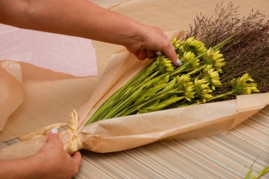 Çiçekçi bir kız mor ekinezya ve yemyeşil otlardan bir kompozisyon yapar. Küçük işletme kavramı