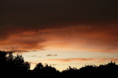 Ufukta koyu turuncu ve kehribar rengi bir ışık şeridi olan çarpıcı bir doğal manzara. Karanlık, fırtınalı bulutlar ve ağaç tepelerinin silueti ile tezat oluşturuyor. Huysuz manzara arkaplanı.