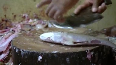 Bıçaklı bir balığı tutan ellerin kapalı olması geride kalan balıkların temizlik ortamını ön plana çıkarıyor.