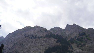 Engebeli dağ zirvelerinin ve sonsuz yeşil ağaçların kasvetli, kasvetli bir konsepte karşı dramatik fotoğrafı.