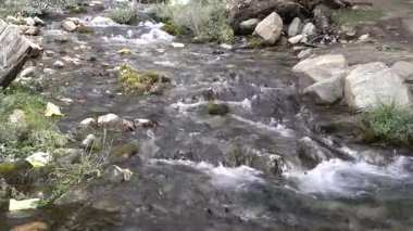 Bereketli yeşillik ve atılmış çöplerle kayalık arazide akan sakin bir dere.