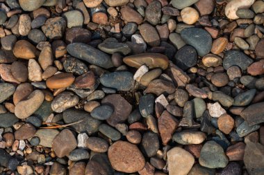 Renkli nehir çakıl taşları, doğal arka plan, doku. Renkli deniz taşlarının yakın çekim dokusu. Küçük bir taş. Deniz arkaplanı.