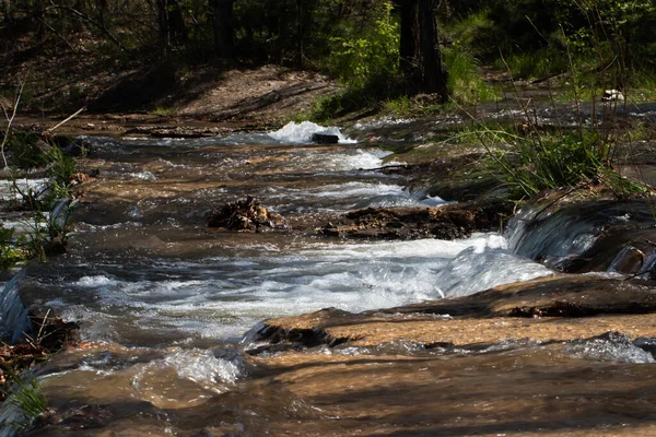 Um riacho na floresta. Água limpa na natureza. Floresta. — Fotografia de Stock