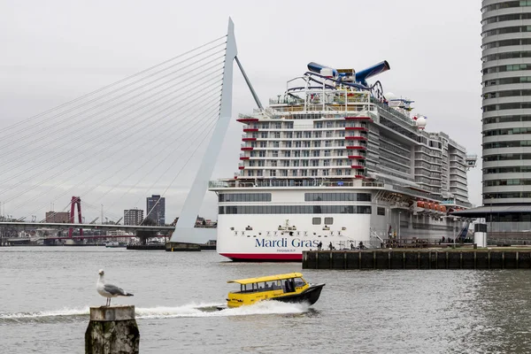 Rotterdam Países Bajos 2020 Stern Mardi Gras Crucero Líneas Carnaval — Foto de Stock