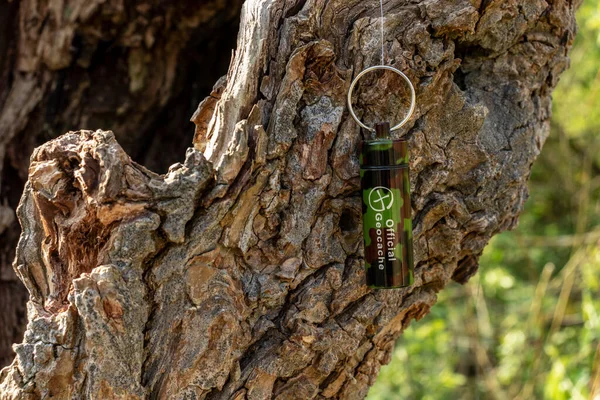 İçi boş ağaç gövdesinde gizlenmiş konteynır.