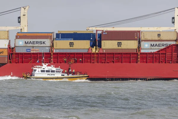 Πιλότος Επιβιβάζεται Εμπορικό Πλοίο Για Οδηγήσει Στο Λιμάνι Του Ρότερνταμ — Φωτογραφία Αρχείου