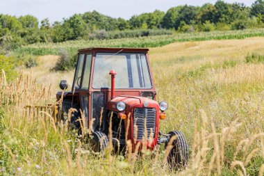 Krusevac, Serbia - 14-08-2021: Classic IMT tractor in a field in central Serbia clipart