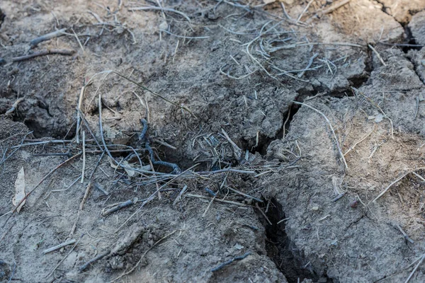 Kuraklık yüzünden yer yarıldı.