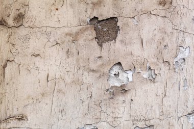 Eski bir evin kirli, gri duvarı, yakın plan, desenli arka plan.