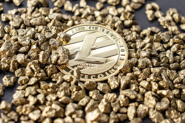 Litecoin logo in close-up, gold coin on the background of pebbles with gold